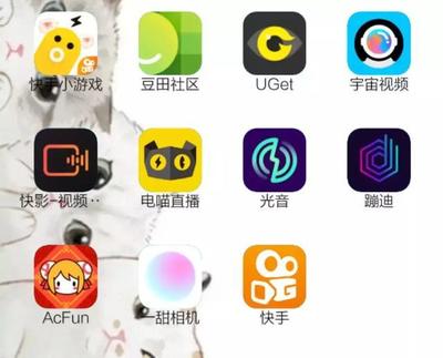 “快手家族”成与败 一年10款APP，孵化易，运营难